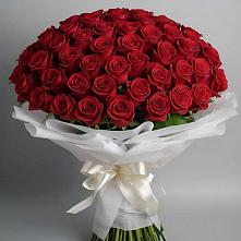 Букет 101 Красная роза Блэк Мэджик #REPLACE_PRED# Ханты-Мансийске