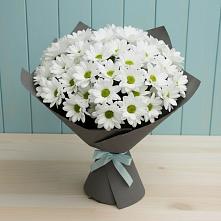Букет цветов из:  Хризантемы в Ханты-Мансийске
