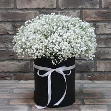 Цветочная композиция из Гипсофила в шляпной коробке в Ханты-Мансийске